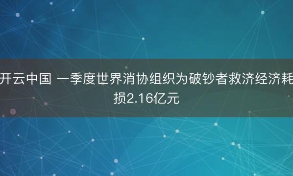开云中国 一季度世界消协组织为破钞者救济经济耗损2.16亿元