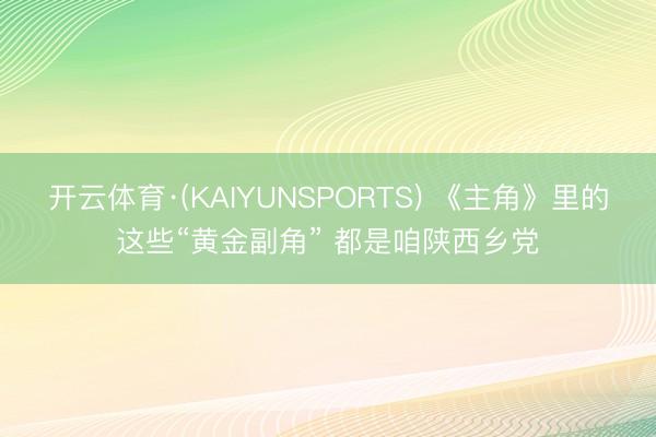 开云体育·(KAIYUNSPORTS) 《主角》里的这些“黄金副角” 都是咱陕西乡党