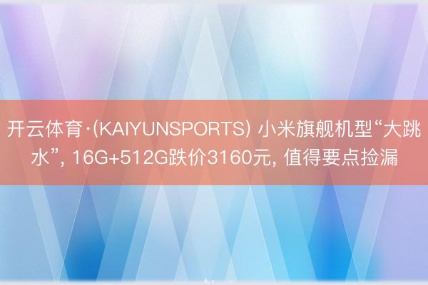 开云体育·(KAIYUNSPORTS) 小米旗舰机型“大跳水”, 16G+512G跌价3160元, 值得要点捡漏