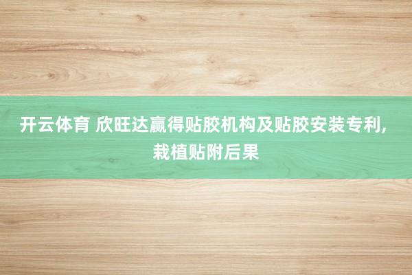 开云体育 欣旺达赢得贴胶机构及贴胶安装专利, 栽植贴附后果